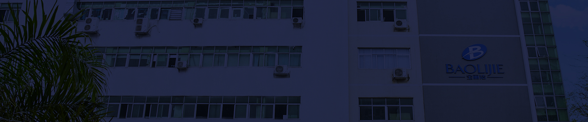 Shenzhen Baolijie Technology Co., Ltd. Profil d'entreprise