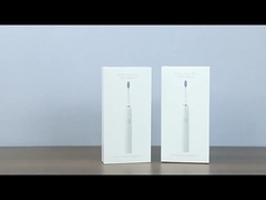 SN302 Brosse à dents électrique sonique pour adultes