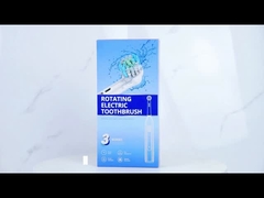 BX11 Brosse à dents électrique à rotation sonique