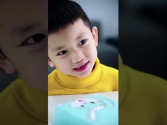 SN201 Brosse à dents électrique sonique