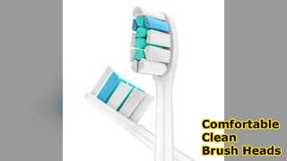 Têtes de brosse PTT sans cuivre pour Philips HX P