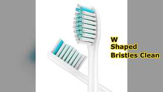 Têtes de brosse à dents en forme de W pour une bouche saine