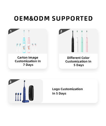 Shenzhen Baolijie Technology Co., Ltd.